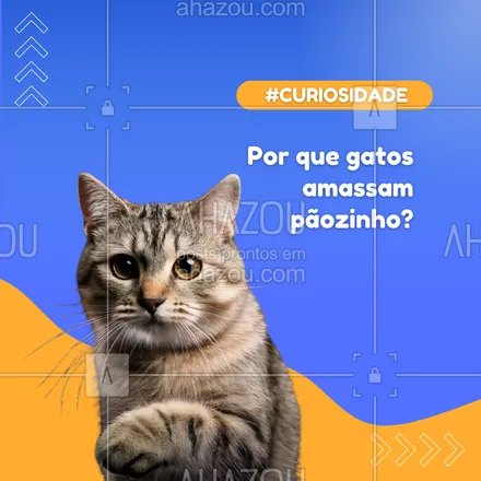 posts, legendas e frases de petshop para whatsapp, instagram e facebook: 🥖 Amassar pãozinho" não é só uma mania fofa! Esse comportamento vem da infância, quando os gatinhos pressionavam a barriga da mãe para estimular o leite. Para os gatos adultos, é um sinal de conforto e felicidade. 😻💤
#GatoFeliz #CuriosidadesFelinas #AmorDeGato #AhazouPet #petshop 