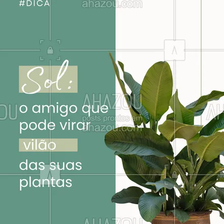 posts, legendas e frases de assuntos gerais de serviços para casa, arquitetura, design & decoração para whatsapp, instagram e facebook: Nem toda planta gosta de sol direto!
Observe as folhas: queimaduras ou amarelamento podem indicar excesso de luz.
🌞 Prefira luz indireta para a maioria das espécies de interior.
#cuidadoscomplantas #plantasdentrodecasa #luzindireta #jardimurbano #verdejando #plantcaretips