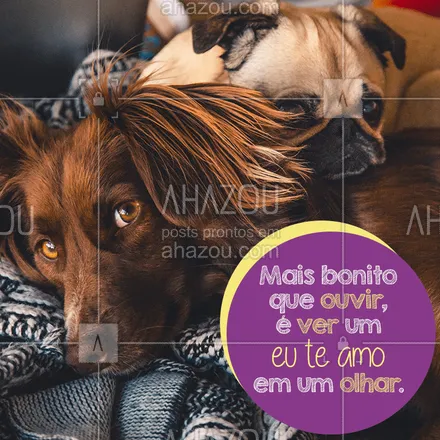 posts, legendas e frases de assuntos variados de Pets para whatsapp, instagram e facebook: Aquele olhar que diz tudo! ??❤ #pet #petlover #ahazou #dog #amor #bandbeauty