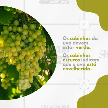 posts, legendas e frases de hortifruti para whatsapp, instagram e facebook: Atenção aos cabinhos das uvas.
#ahazoutaste #alimentacaosaudavel  #hortifruti  #mercearia  #organic  #qualidade  #vidasaudavel 