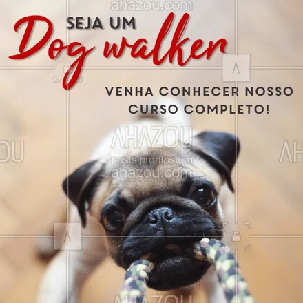 posts, legendas e frases de dog walker & petsitter para whatsapp, instagram e facebook: O que faz um dog walker? Conheça essa profissão que está em alta!

#dogwalker #ahazou #pet #profissão