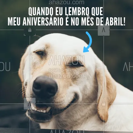 posts, legendas e frases de assuntos variados de Pets para whatsapp, instagram e facebook: Amiguinhos que fazem aniversário em abril ? #aniversario #ahazou #cachorro #amigo #amor #ahazoupet #pet