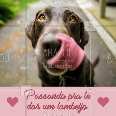 posts, legendas e frases de assuntos variados de Pets para whatsapp, instagram e facebook: Um lambeijo vale mais que mil palavras! ? #cachorro #ahazou #amocachorro #Pet