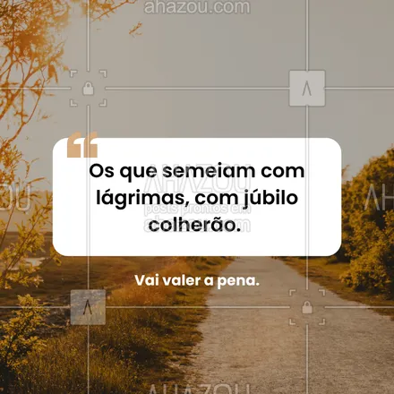 posts, legendas e frases de para whatsapp, instagram e facebook: Toda dor plantada com fé vai florescer em alegria. #salmo126 #colheita #esperança #salmododia