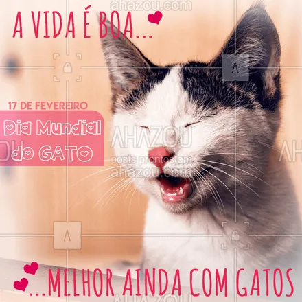 posts, legendas e frases de assuntos variados de Pets para whatsapp, instagram e facebook: Um miau massageia o coração. 
17 de fevereiro, dia mundial do gato.
#gato #pet #gatos #diamundial #ahazoupet