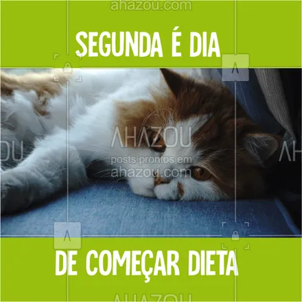 posts, legendas e frases de assuntos variados de Pets para whatsapp, instagram e facebook: Não desanima, não!  #ahazou  #ahazoupet  #dieta  #segunda  #segundafeira  #meme