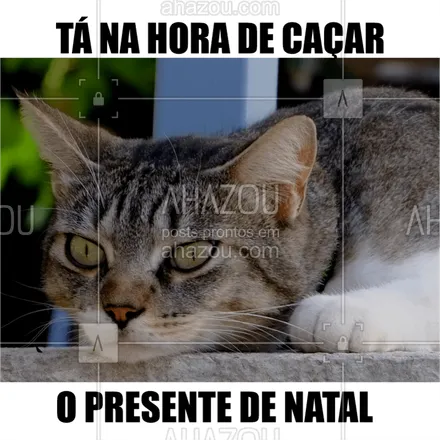 posts, legendas e frases de assuntos variados de Pets para whatsapp, instagram e facebook: Quando a gente não trabalha, tem que ser criativo.  #pet  #petlover  #natal  #fimdeano  #presente  #cat  #gato  #ahazou  #ahazoupet