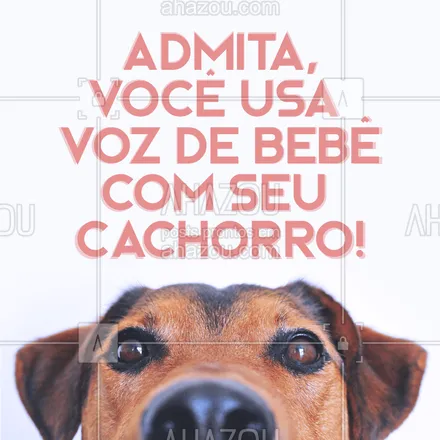 posts, legendas e frases de assuntos variados de Pets para whatsapp, instagram e facebook: Quem nunca? ? #cachorro #ahazoupet #pet #cao 