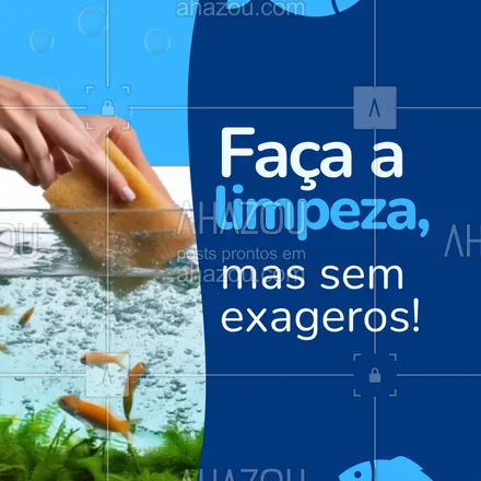 posts, legendas e frases de assuntos variados de Pets para whatsapp, instagram e facebook: Evite lavar tudo com sabão — isso pode eliminar bactérias boas do aquário!
A limpeza deve ser delicada e com produtos próprios, mantendo o equilíbrio biológico do sistema.
Menos é mais no aquarismo!
#limpezadeaquario #cuidadoscompeixes #aquariosaudavel #bacteriasboas #aquarismo