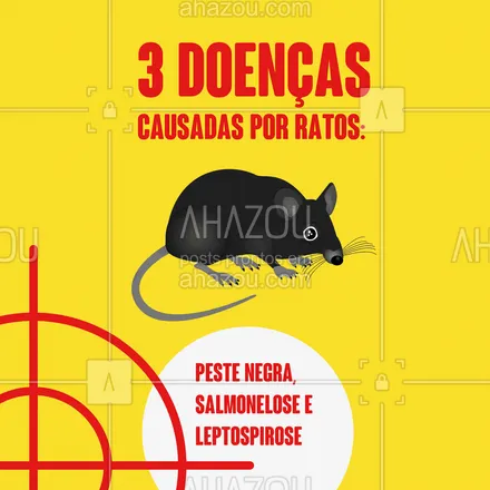 posts, legendas e frases de dedetizador para whatsapp, instagram e facebook: Os ratos são responsáveis por muitos danos à saúde e causadores de doenças. A mais conhecida é a leptospirose, causada pela sua urina. Causa febre alta, dor de cabeça, sangramento, dor muscular, calafrios, olhos vermelhos e vômitos. Dá arrepio só de imaginar, né!? ? Mais um motivo para manter o controle de pragas em dia! #AhazouServiços #controledepragas #ratos #doenças #leptospirose #pragas #causadores #pragasurbanas #leptospirose