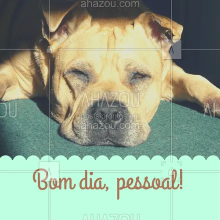 posts, legendas e frases de assuntos variados de Pets para whatsapp, instagram e facebook: Quem aí já acordou? ? #cachorro #ahazou #pet 