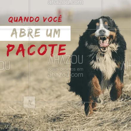 posts, legendas e frases de assuntos variados de Pets para whatsapp, instagram e facebook: Quando seu cachorro escuta você abrindo um pacote! ???? #cachorro #ahazou #pet