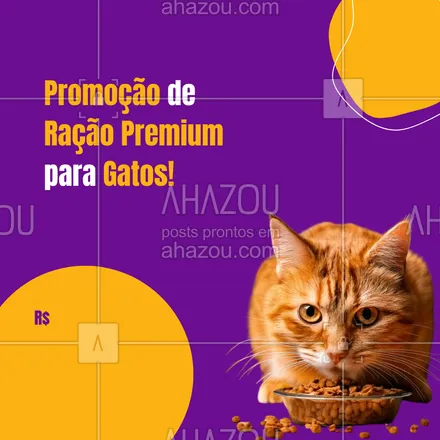 posts, legendas e frases de petshop para whatsapp, instagram e facebook: 🐾 Seu gatinho merece o melhor! Compre agora a ração premium com um preço especial e garanta saúde e vitalidade para o seu felino. Não perca! #PromoçãoGato #RaçãoDeQualidade #PromoçãoDeRação #AhazouPet #petshop #ração #promoção #promoçãopetshop