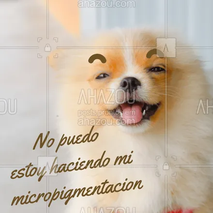 posts, legendas e frases de cílios & sobrancelhas para whatsapp, instagram e facebook: Hahahaha tivemos que entrar na brincadeira ;) #sobrancelha #ahazou #designdesobrancelha #memecachorro #cachorro