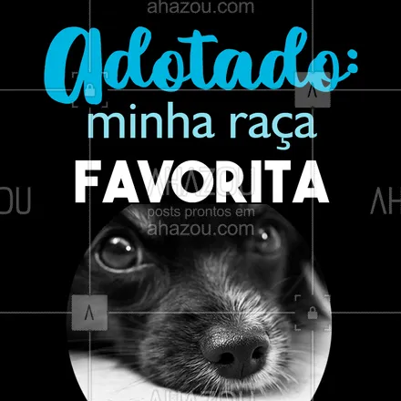 posts, legendas e frases de assuntos variados de Pets para whatsapp, instagram e facebook: Tem raça mais linda que essa? ❤️ #adoçao #ahazoupet #Pet #cachorro #raça