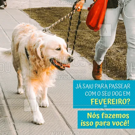posts, legendas e frases de dog walker & petsitter para whatsapp, instagram e facebook: Garanta o passeio do seu amiguinho para o mês de Fevereiro! #dogwalker  #cachorro #ahazoupet #passeio #fevereiro