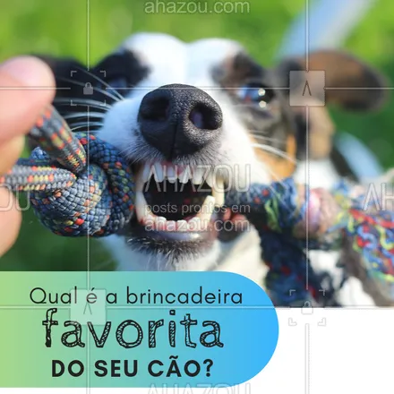 posts, legendas e frases de assuntos variados de Pets para whatsapp, instagram e facebook: Conta pra gente! ?? #enquete #ahazou #cachorro #pet