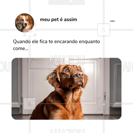 posts, legendas e frases de petshop para whatsapp, instagram e facebook: Porque comer em paz? Não é mesmo? 🤷‍♂️😂 Conta pra gente, o que seu cachorro faz para tentar ganhar um petisco? 🐶 #InstintoCanino #PetiscosAMais #VidaDeCachorro #DespertadorPeludo #AhazouPet #meme #humor #comportamentodospets 