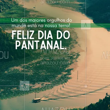 posts, legendas e frases de posts para todos para whatsapp, instagram e facebook: Ser brasileiro é contar com uma terra rica em diversidade bem aqui no nosso quintal! #ahazou #frasesmotivacionais  #motivacionais  #motivacional   #quote #diadopantanal