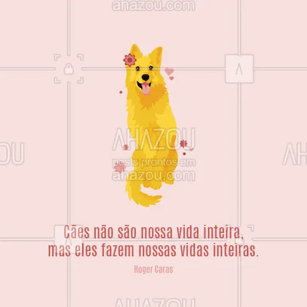 posts, legendas e frases de assuntos variados de Pets para whatsapp, instagram e facebook: Quem aí concorda? ? #caes #ahazou #cachorro #motivacional