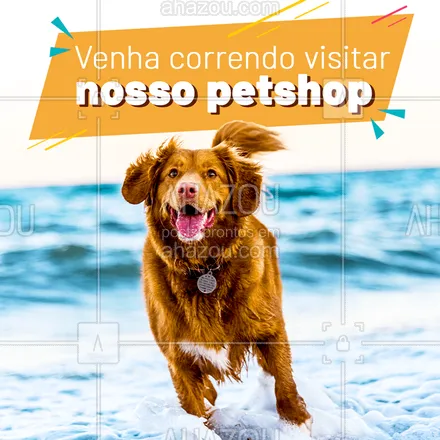 posts, legendas e frases de petshop para whatsapp, instagram e facebook: Até seu cãozinho vai vir correndo pra visitar nosso petshop ? Esperamos sua visita! #petshop #ahazoupet #pet