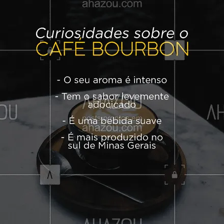 posts, legendas e frases de cafés para whatsapp, instagram e facebook: Você sabia sobre essas curiosidades e diferenças do café Bourbon? Conta para a gente nos comentários se você já tomou essa delicia de cafézinho ☕ #ahazoutaste #café #bourbon #curiosidades #cafeteria  #coffeelife #bebida 