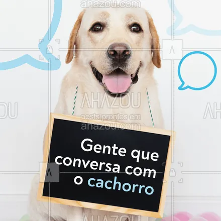 posts, legendas e frases de assuntos variados de Pets para whatsapp, instagram e facebook: Quem se identifica? #pet #ahazoupet #cachorro 
