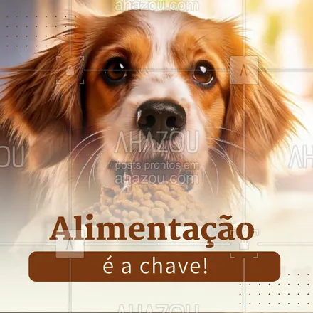 posts, legendas e frases de petshop para whatsapp, instagram e facebook: A qualidade da alimentação reflete na saúde dos pelos e da pele. Rações de qualidade e, se possível, suplementos vitamínicos recomendados pelo veterinário são fundamentais! 🍖🐾 #SaúdePet #DicasDeCuidadosPet #CuidadoComOsPets #CuidadosComOsPelos #AhazouPet #dicas #cuidadoscomapele #cuidadoscomospets #petshop 