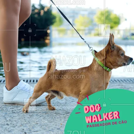 posts, legendas e frases de dog walker & petsitter para whatsapp, instagram e facebook: Precisa de passeador para o seu cachorro? Chama no What'sApp XXxxxxxx #dog #pet #ahazou #passeador #cachorro #dogwalker 