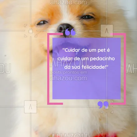 posts, legendas e frases de petshop para whatsapp, instagram e facebook: Olhares que falam mais que palavras! 🐾💖 Quem aí entende o amor de um pet só pelo olhar? #ConexãoEspecial #AmorVerdadeiro #MeuMelhorAmigo #CarinhoSemLimite #PetsFelizes #AhazouPet #petshop #frasesdepet #frasesfofas 