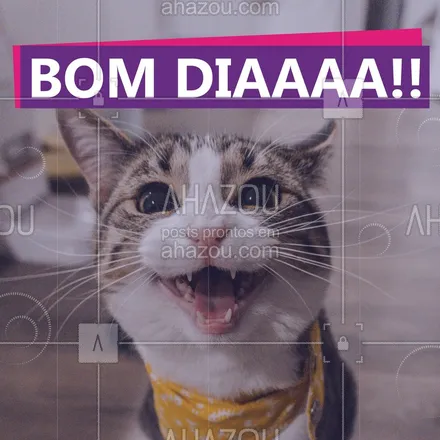 posts, legendas e frases de assuntos variados de Pets para whatsapp, instagram e facebook: Começando o dia na maior alegria ? #bomdia #ahazoupet #pets #gato