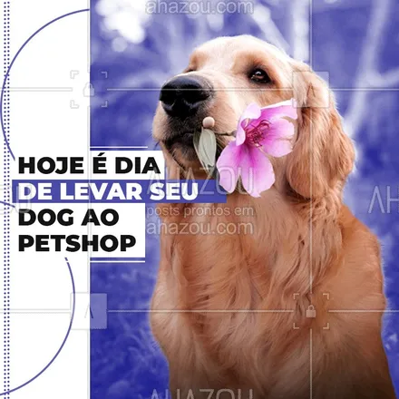 posts, legendas e frases de petshop para whatsapp, instagram e facebook: Hoje é um dia especial pra você trazer seu dog ao petshop! Venha deixar ele mais feliz. ?? #Dog #Ahazou #Petshop #Cachorro 