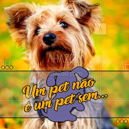 posts, legendas e frases de assuntos variados de Pets para whatsapp, instagram e facebook: Conta pra gente como um PET precisa ser! ?
#ahazoutaste #naoetaobomsem #candy #docinho