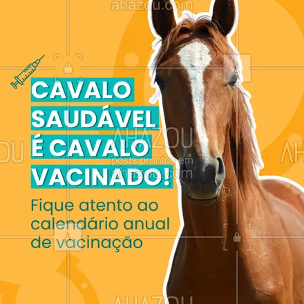 posts, legendas e frases de pets para whatsapp, instagram e facebook: Tétano, raiva e influenza equina são preveníveis com vacinas.
🏇 Vacinar seu cavalo é um ato de responsabilidade e cuidado.
💉 Consulte o veterinário e proteja seu parceiro de estrada e trabalho. #vacinaçãoequina #cuidadoscomcavalos #calendárioveterinário #equinos #vidaequina #cavalosaudável #fazendasustentável