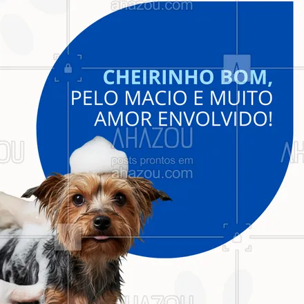 posts, legendas e frases de  para whatsapp, instagram e facebook: Seu pet vai adorar o dia de beleza! banho e tosa com todo o cuidado que ele merece. agende já e garanta o bem-estar do seu bichinho ✨
#banhoetosa #petsfelizes #banhoespecial #cuidadocomamor #carinhopelopet #amorpelosanimais #banhoetosanatural #spaanimal #todospelopet #petshop