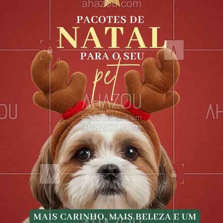 posts, legendas e frases de  para whatsapp, instagram e facebook: Dezembro é mês de amor, carinho e... promoções pet! 💕🐾
Aproveite nossos pacotes natalinos e garanta o cuidado completo pro seu amigo de quatro patas.
💦 Banho e hidratação
✂️ Tosa especial
🎀 Lacinhos natalinos inclusos!
Agende já — seu pet vai amar o resultado!

#NatalPet #PromoçãoPetShop #BanhoETosa #AmorPet #CachorroFeliz #GatoLindo #PetsDoBrasil #NataluidadosComOPet #BelezaPet #Descontos