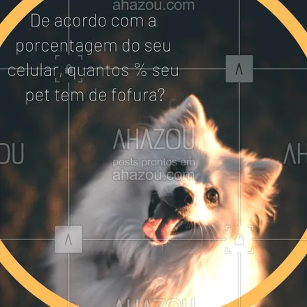 posts, legendas e frases de assuntos variados de Pets para whatsapp, instagram e facebook: E ai, conta pra gente a porcentagem de fofura do seu pet!! só não vale responder quem tiver com o celular descarregado porque todo pet é fofo, né? hahaha. #porcentagemdefofura #ahazou #pet