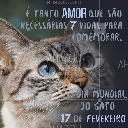 posts, legendas e frases de assuntos variados de Pets para whatsapp, instagram e facebook: Afinal, que não ama gatos?😻 Feliz Dia Mundial do Gato! 🎉🐾 #diamundialdogato #gato #gatos #felinos #AhazouPet #cats  #ilovepets  #petlovers  #petoftheday  #petsofinstagram 