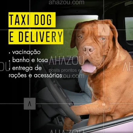 posts, legendas e frases de petshop para whatsapp, instagram e facebook: Nós temos serviço de Taxi Dog e Delivery para seu amiguinho! Trazendo mais conforto para você e seu pet. ? #pet #ahazoupet #taxidog #delivery #petshop