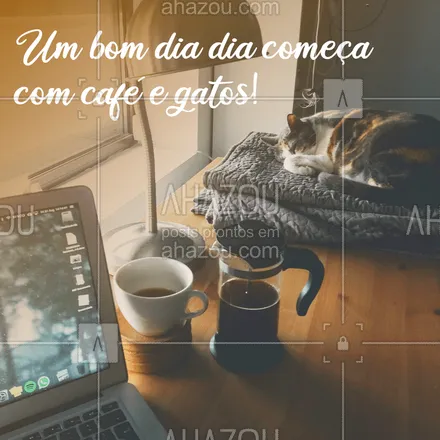 posts, legendas e frases de assuntos variados de Pets para whatsapp, instagram e facebook: Bom dia!!!?Bora levantar, tomar um bom café e afagar seu gatinho! #ahazou #petlovers #catlovers #bomdia