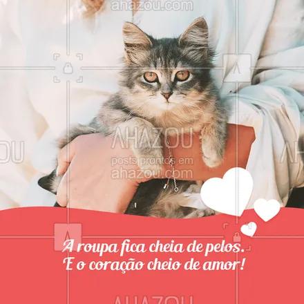 posts, legendas e frases de assuntos variados de Pets para whatsapp, instagram e facebook: Vale a pena, né? ❤️ #gato #ahazou #pets