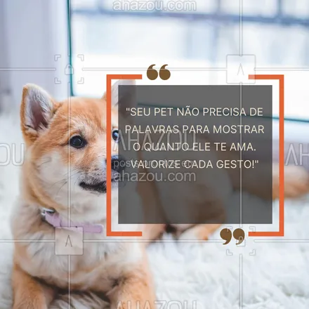 posts, legendas e frases de petshop para whatsapp, instagram e facebook: Cuidar de um pet é como cuidar de um pedacinho da nossa felicidade. 🌟🐱 Eles fazem nossos dias muito mais completos! #PetsDaAlegria #Companheirismo #AmoMeuPet #AmizadeFiel #PetLove #AhazouPet #petshop #frasesdepet #frasesfofas 