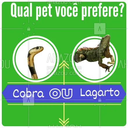 posts, legendas e frases de assuntos variados de Pets para whatsapp, instagram e facebook: E ai , qual seu preferido? #petahz  #animal #pet #ahazou #cobra #lagarto