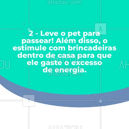 posts, legendas e frases de veterinário para whatsapp, instagram e facebook: Confira essas 4 dicas que vão tornar o seu bichinho o pet mais feliz do mundo!🐾😍❤ #AhazouPet #dicas  #medicinaveterinaria  #veterinario  #clinicaveterinaria  #vet  #veterinaria  #vetpet  #medvet  #petvet 