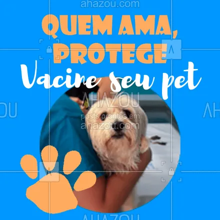 posts, legendas e frases de veterinário para whatsapp, instagram e facebook: Como estão as vacinações do seu pet? Pense na saúde dele e cuide! #veterinario #ahazoupet #pet