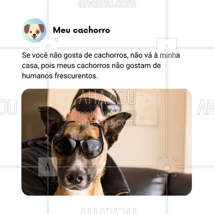 posts, legendas e frases de dog walker & petsitter, veterinário, petshop, assuntos variados de Pets para whatsapp, instagram e facebook: Se você não é fã de cachorros, melhor pensar duas vezes antes de vir à minha casa. Aqui, quem manda são eles, e eles não têm muita paciência pra humanos frescurentos! 🐕🚫😅

#AhazouPet #CachorrosNoComando #CasaDosDoguinhos #VidaComPets #HumanosFrescurentosNão #CachorroSincero