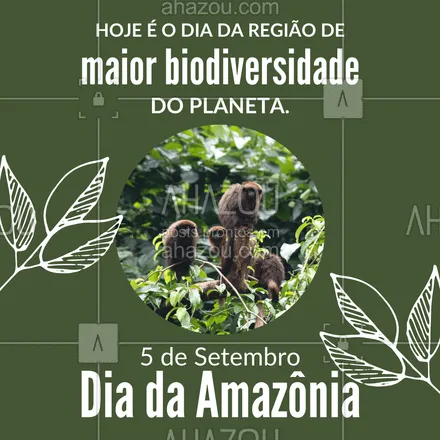posts, legendas e frases de posts para todos para whatsapp, instagram e facebook: Região incrível, onde não falta diversidade. Feliz Dia da Amazônia!💚 #diadaamazônia #amazônia #florestaamazônica #floresta #ahazou