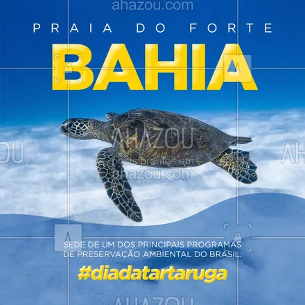 posts, legendas e frases de agências & agentes de viagem para whatsapp, instagram e facebook:  Quer conhecer a Bahia e ver as tartarugas? Essa viagem é pra você ✈ #AhazouTravel #turismo #ferias #tartaruga #diadatartaruga #viajar #trip #viagempelobrasil #bahia #AhazouTravel 