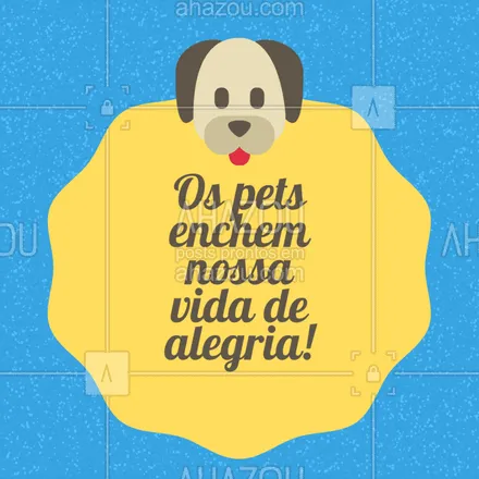 posts, legendas e frases de assuntos variados de Pets para whatsapp, instagram e facebook: Tudo é mais alegre com Pets! ??
#pets #ahazou #amorporpets