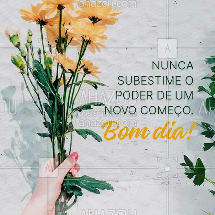 posts, legendas e frases de  para whatsapp, instagram e facebook: Bom Dia! 📖 Todo amanhecer é um lembrete de que nada é definitivo. Sempre existe uma nova chance de mudar sua vida. 🌟 #bomdia #motivação #recomeço